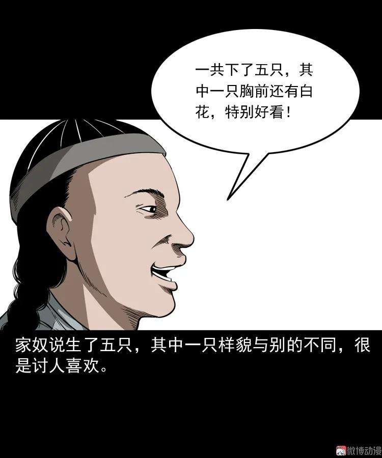 53.jpg