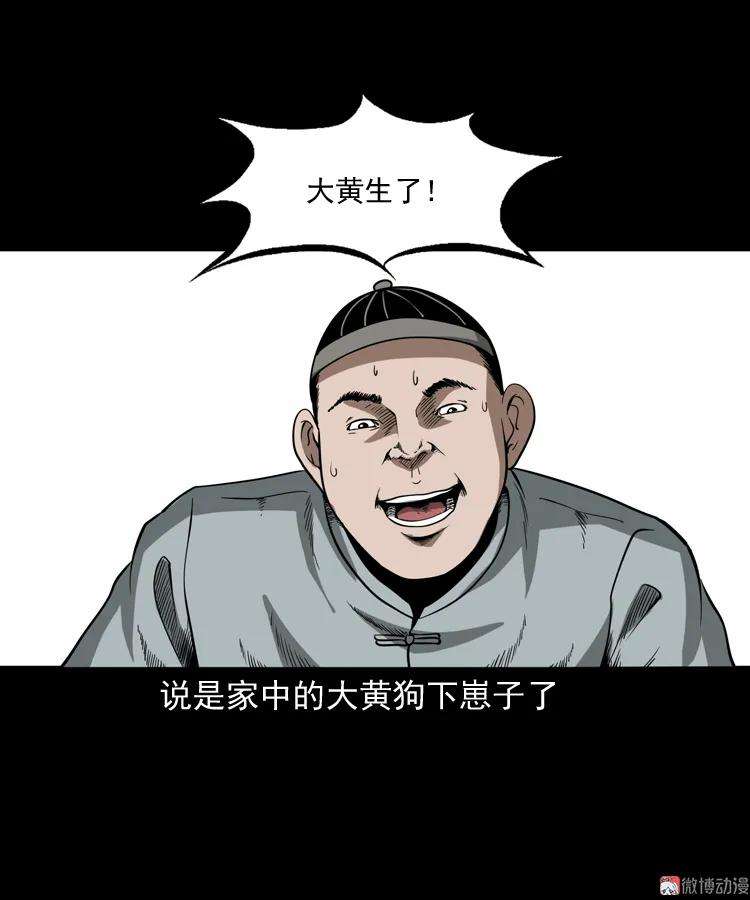 51.jpg