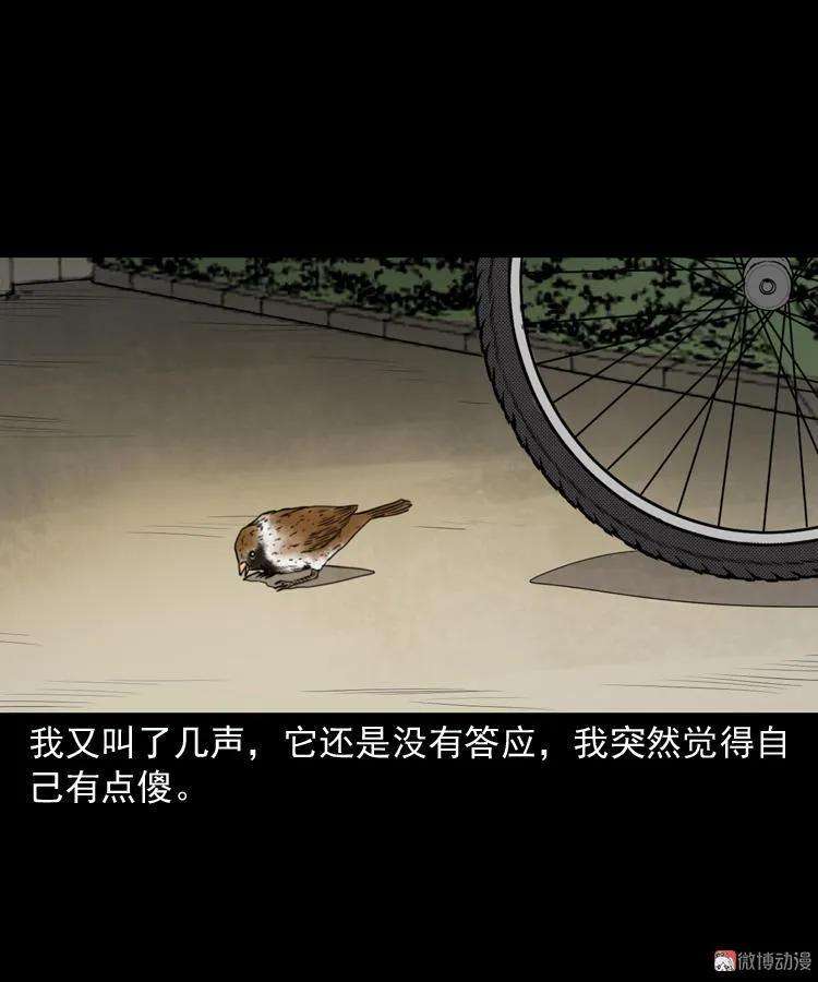 67.jpg