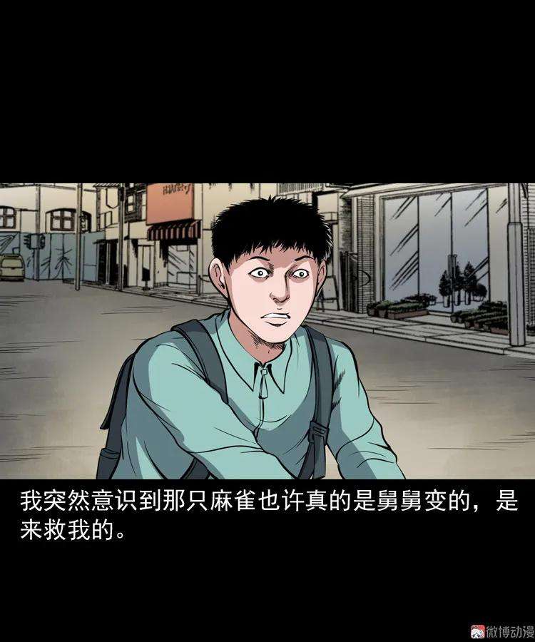 73.jpg