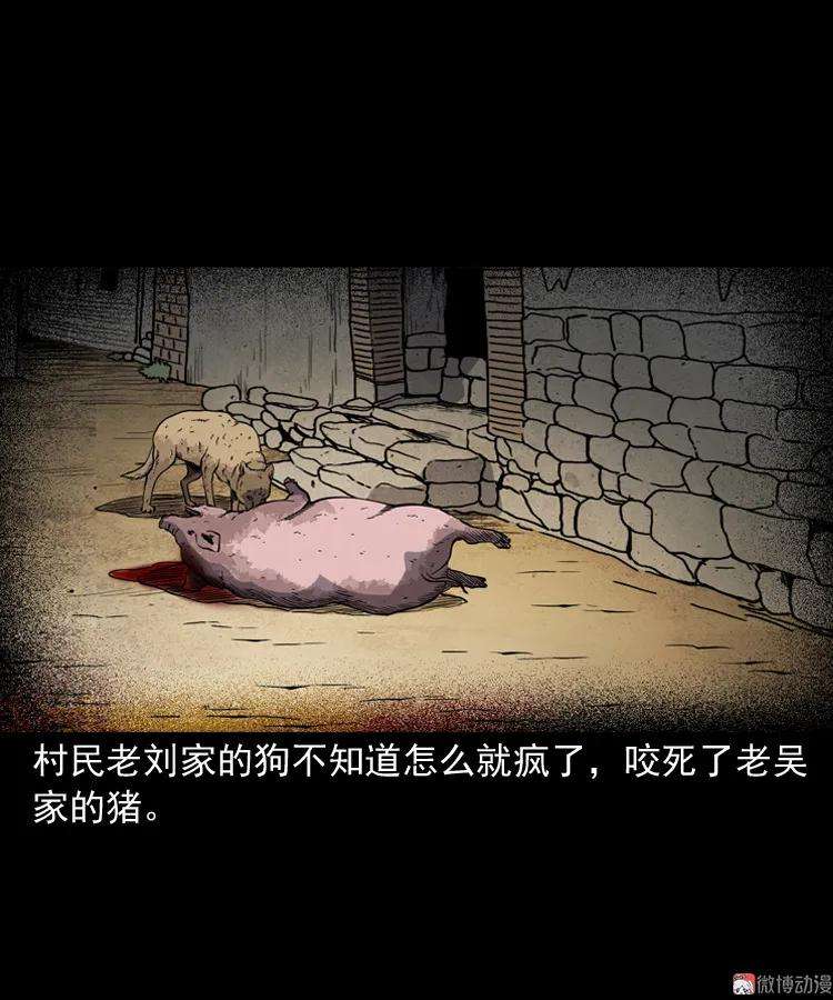 71.jpg