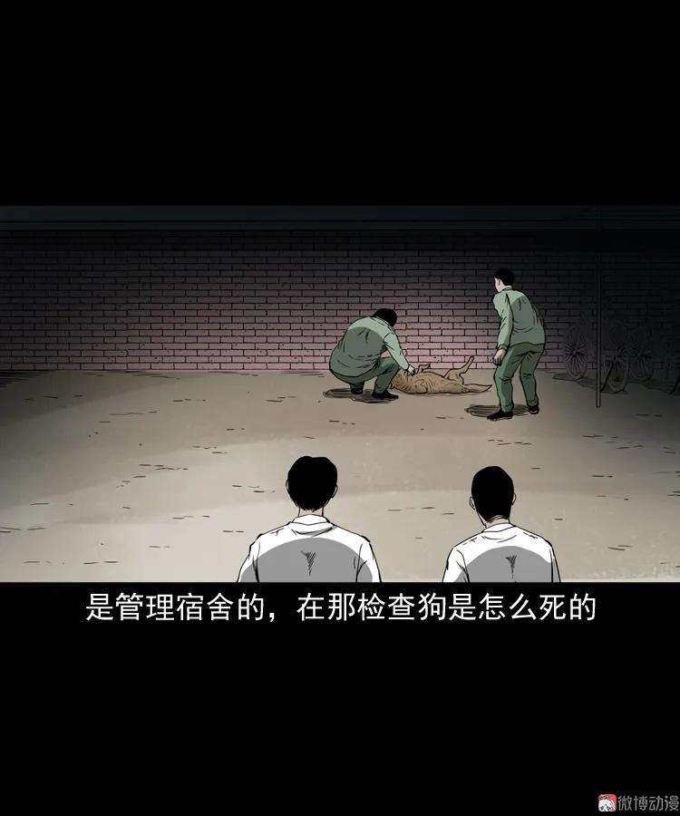 83.jpg