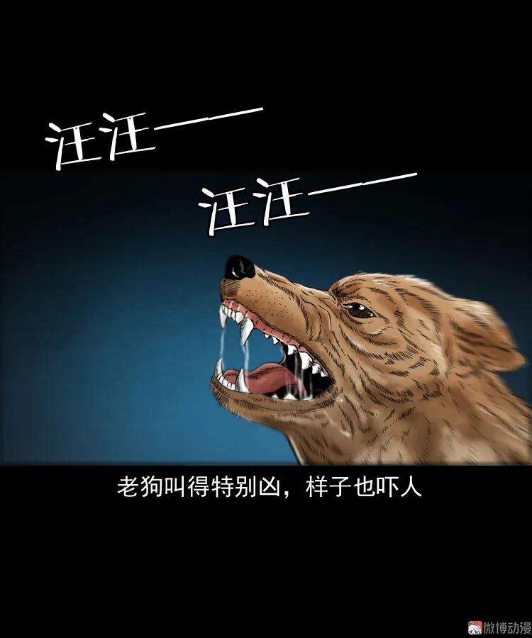 56.jpg