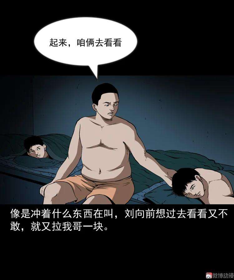 53.jpg