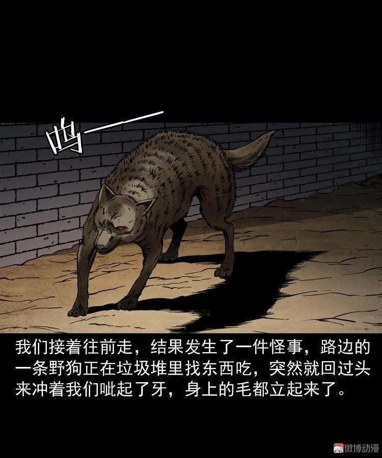 43.jpg
