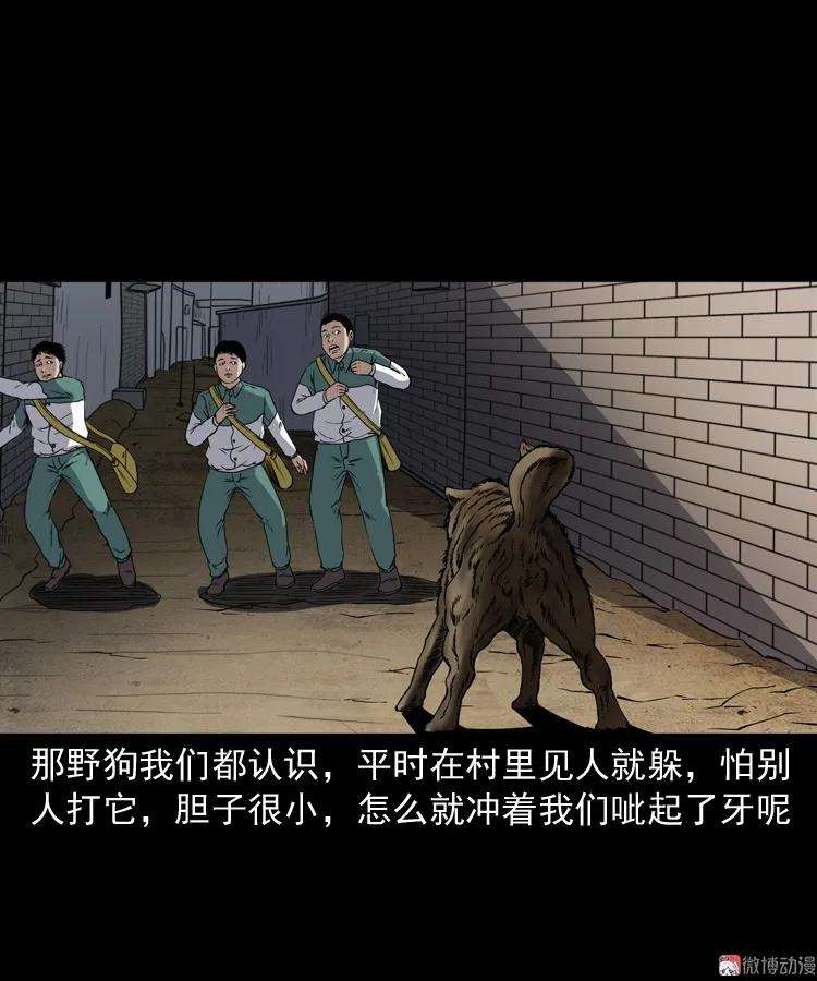 44.jpg