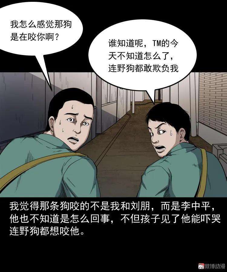 47.jpg
