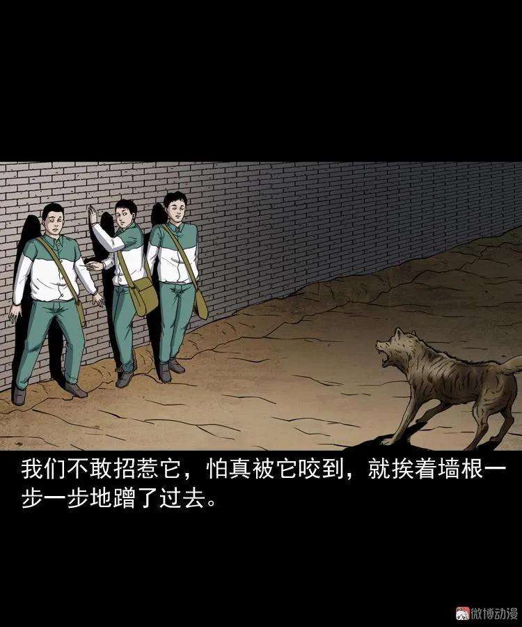 45.jpg