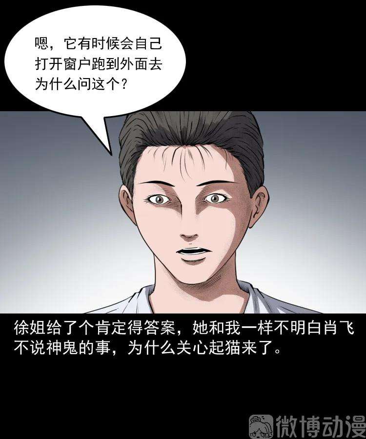 55.jpg