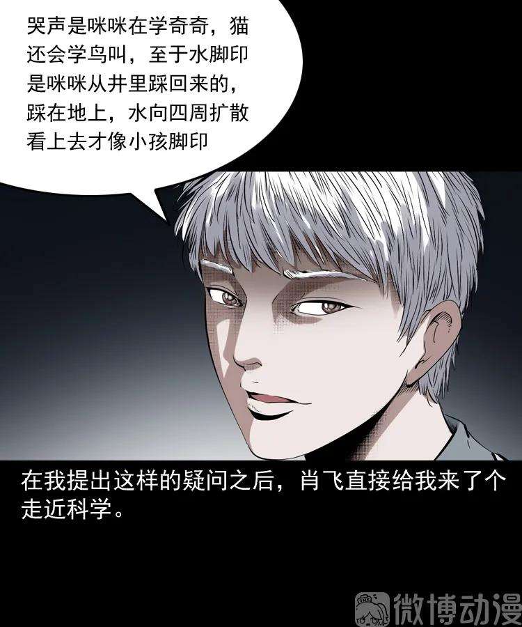 96.jpg