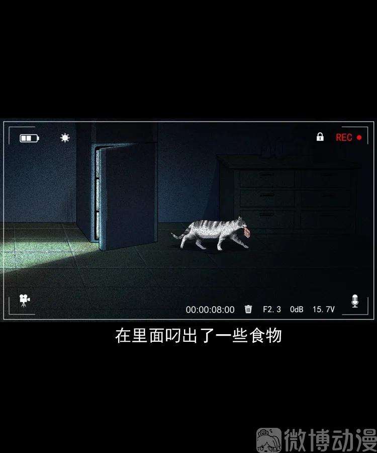 68.jpg
