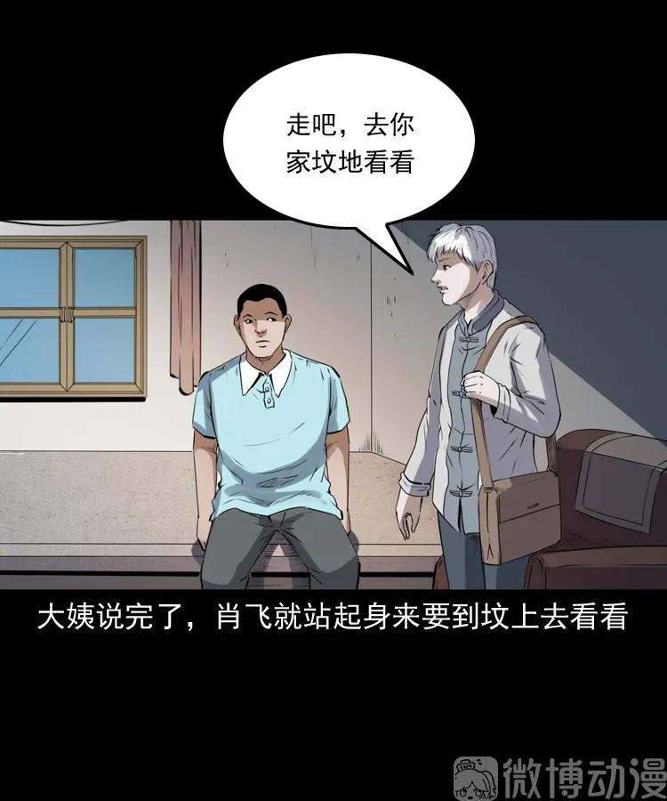 41.jpg