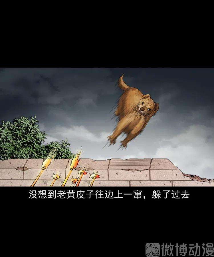76.jpg