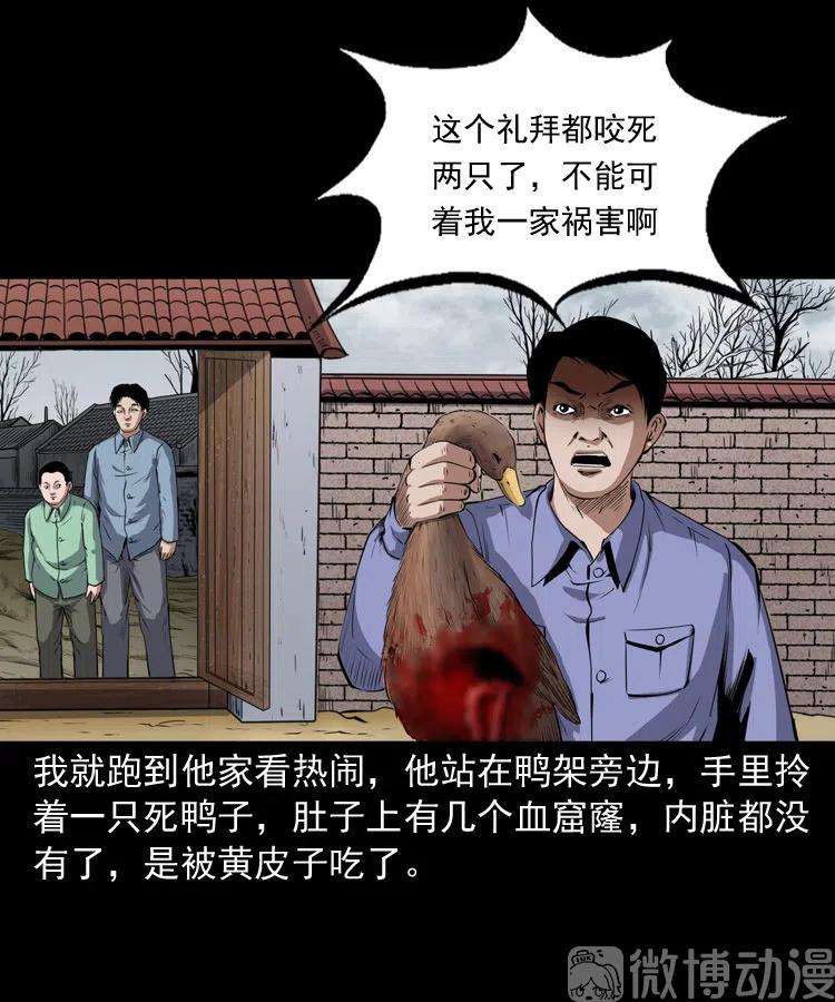 9.jpg