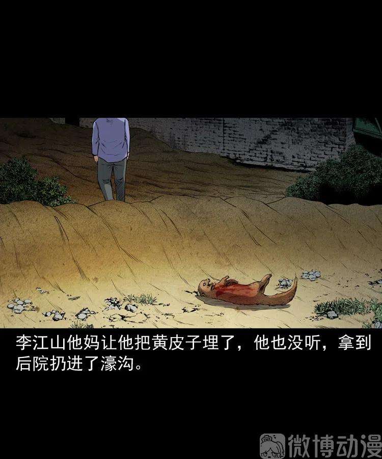 14.jpg