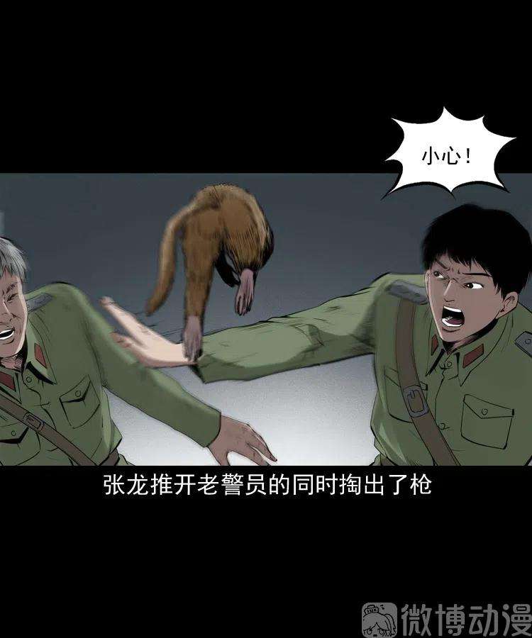 48.jpg