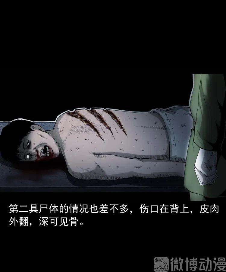 25.jpg
