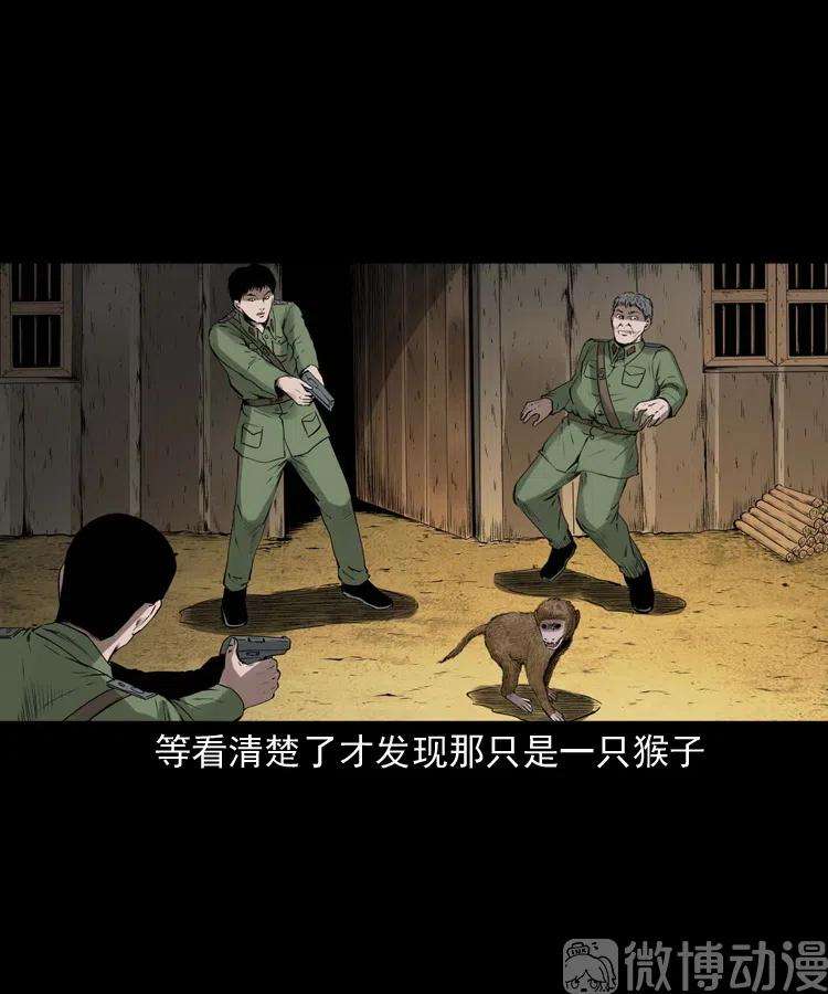 49.jpg