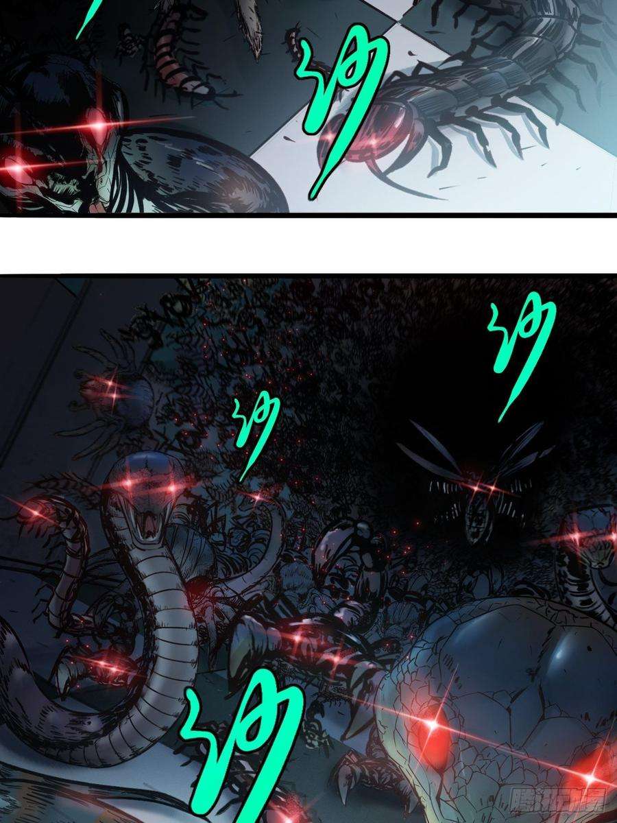 26.jpg