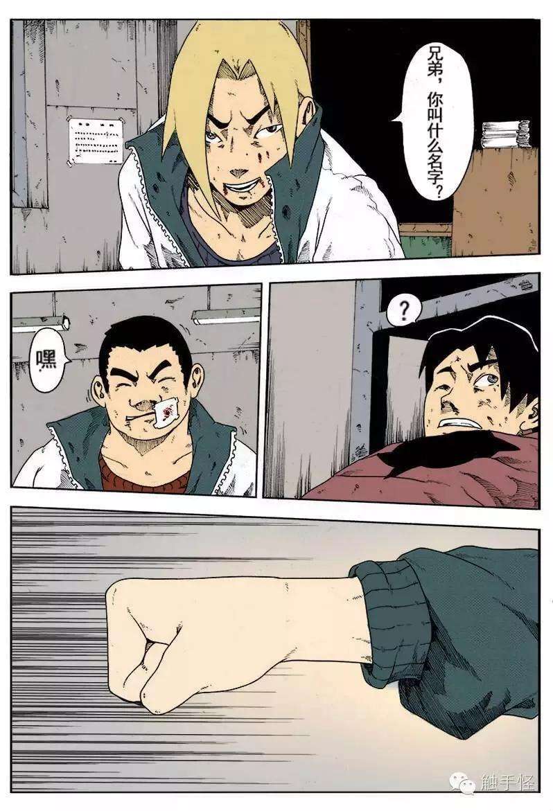 13.jpg