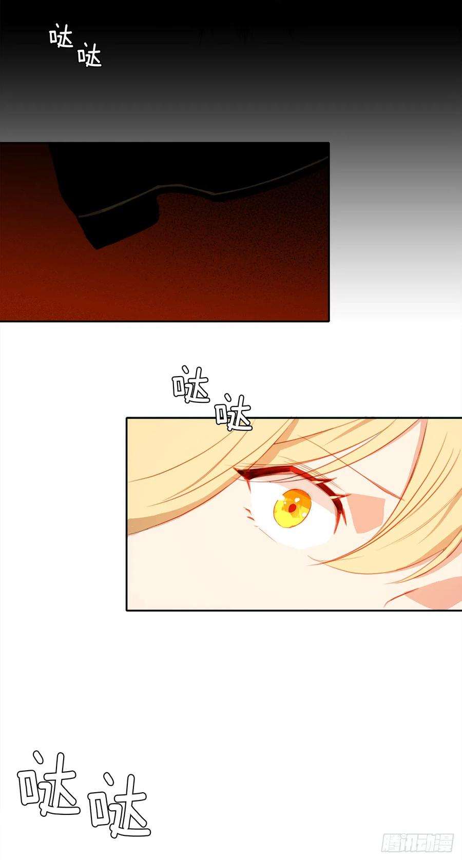 23.jpg