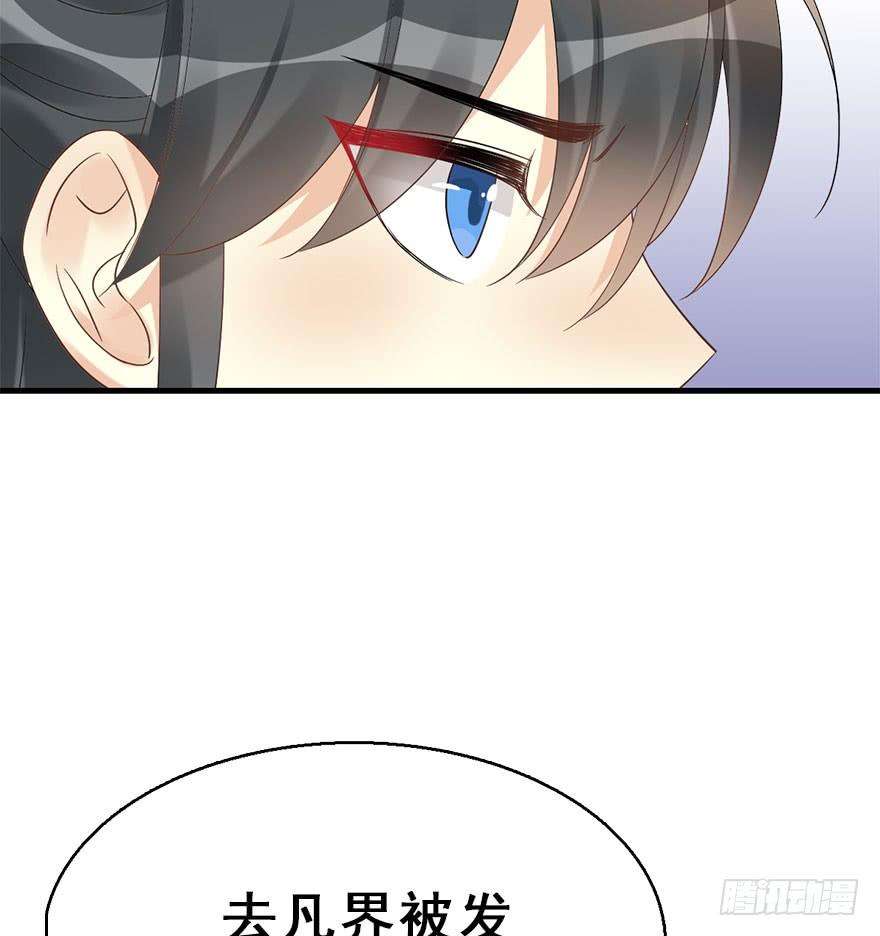 65.jpg