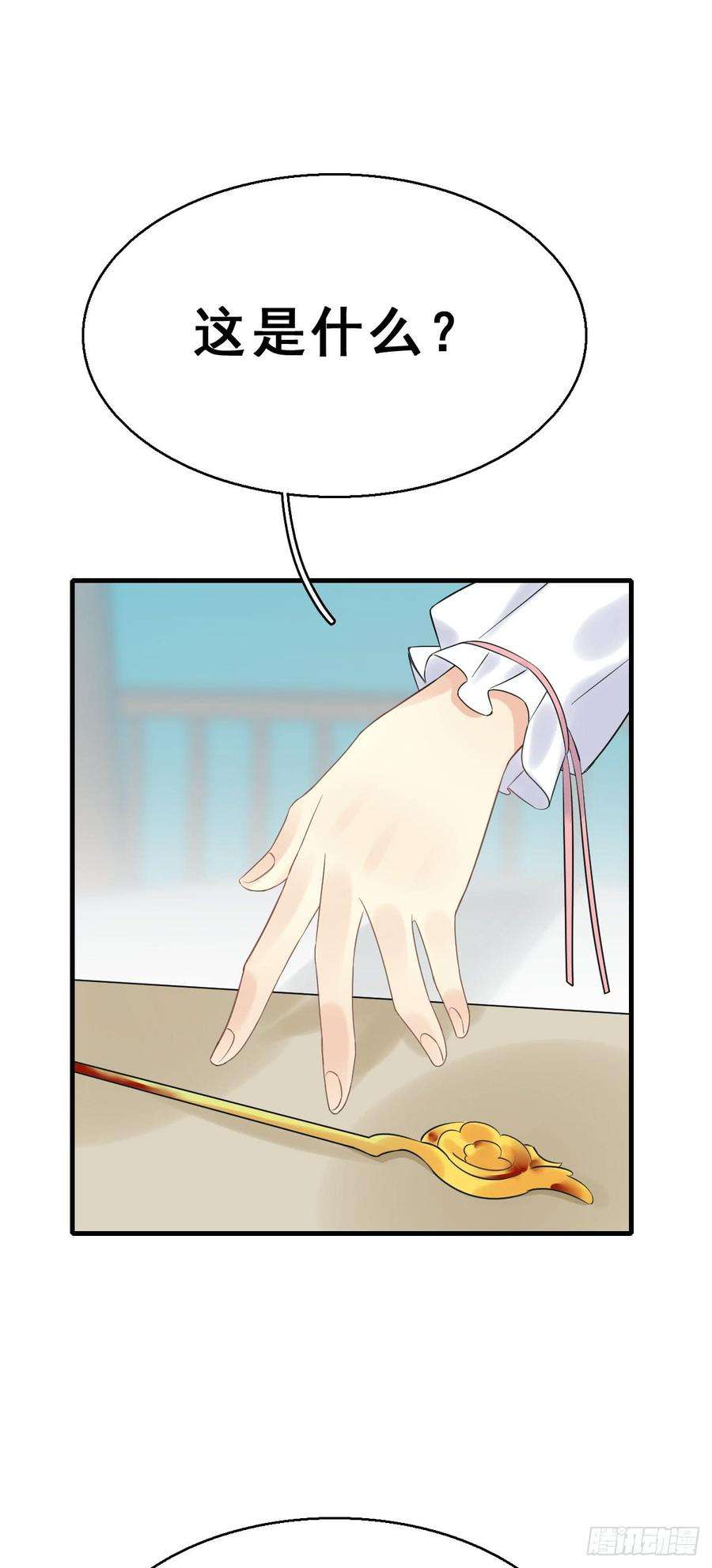 41.jpg