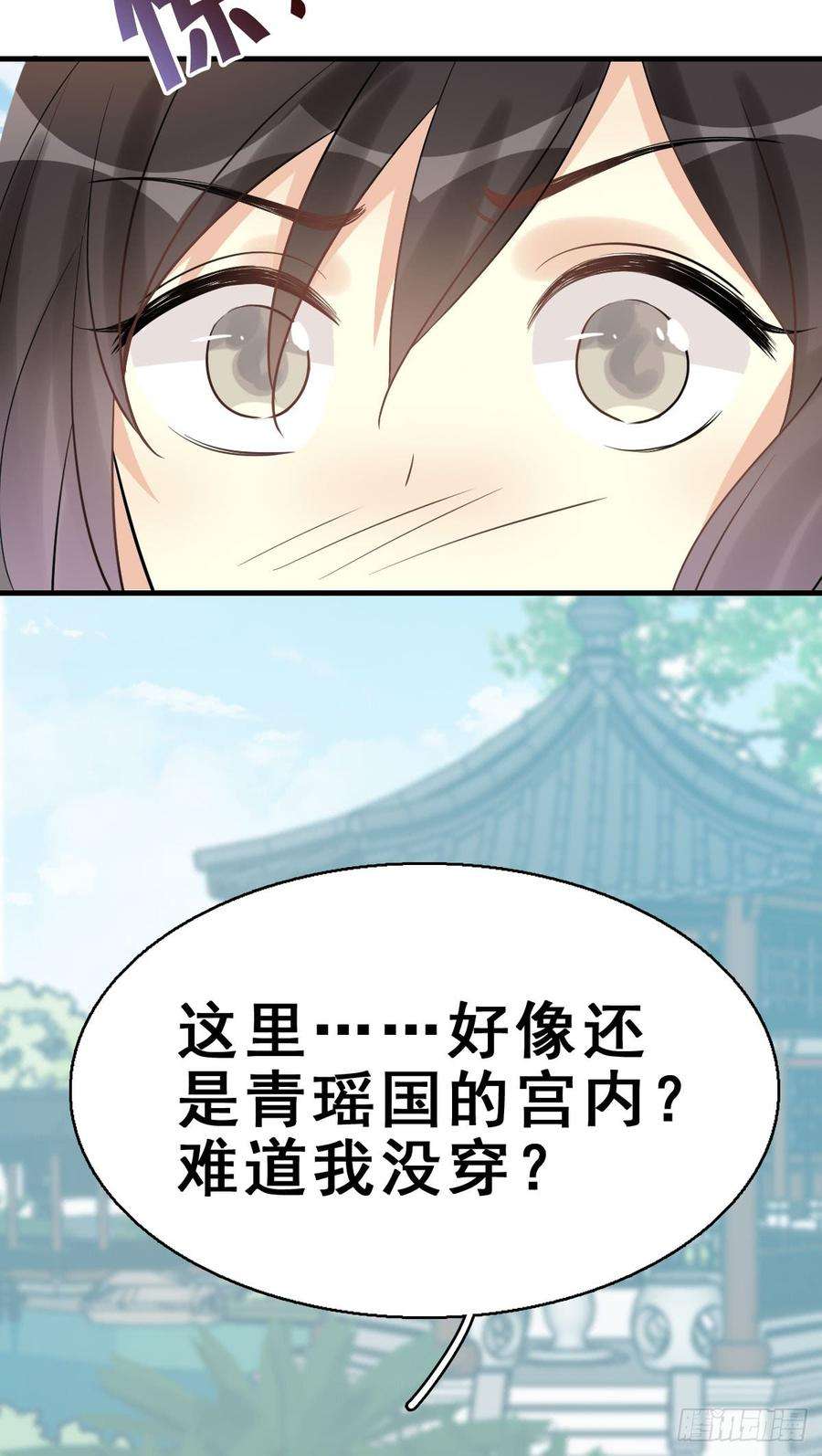 48.jpg