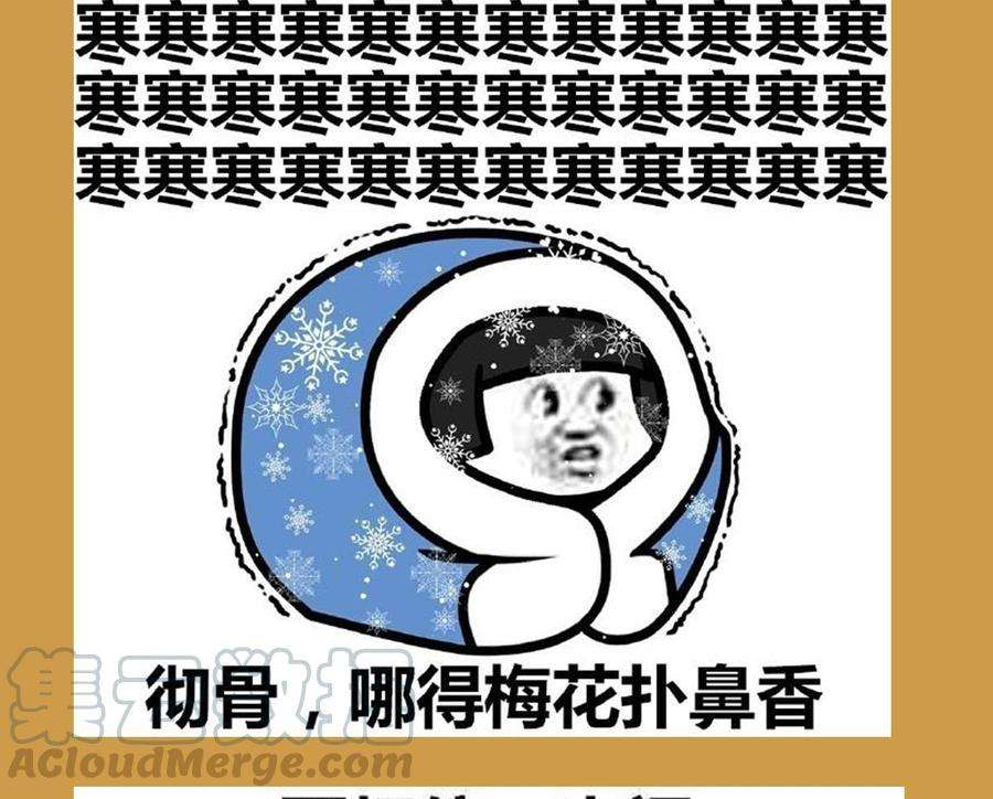 85.jpg