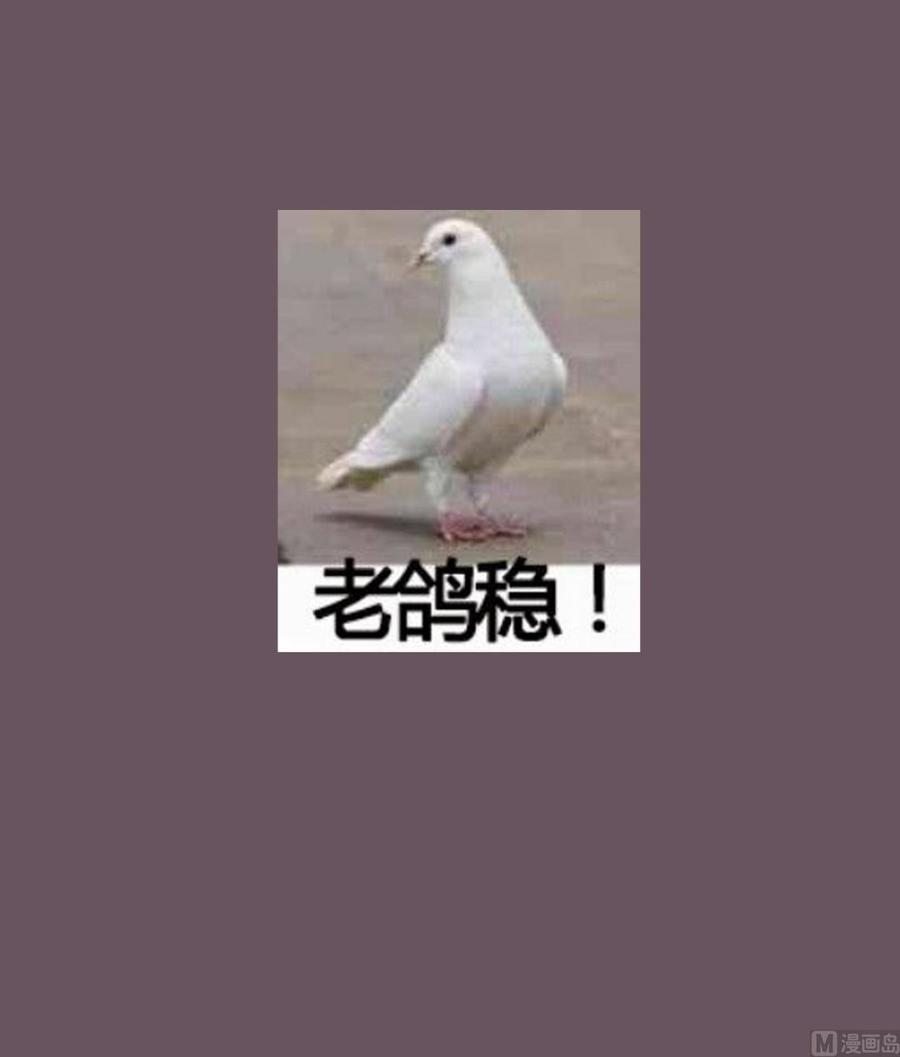 69.jpg