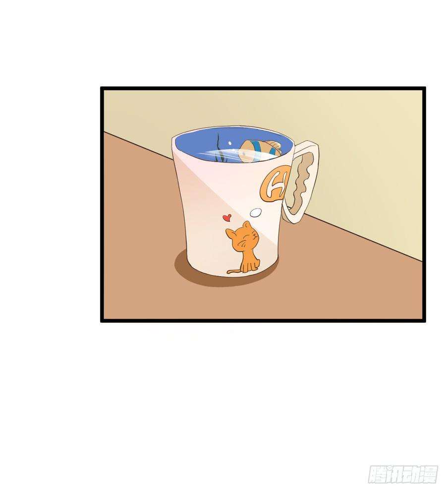 40.jpg
