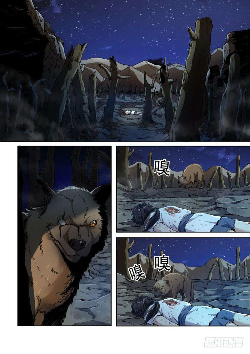 19.jpg