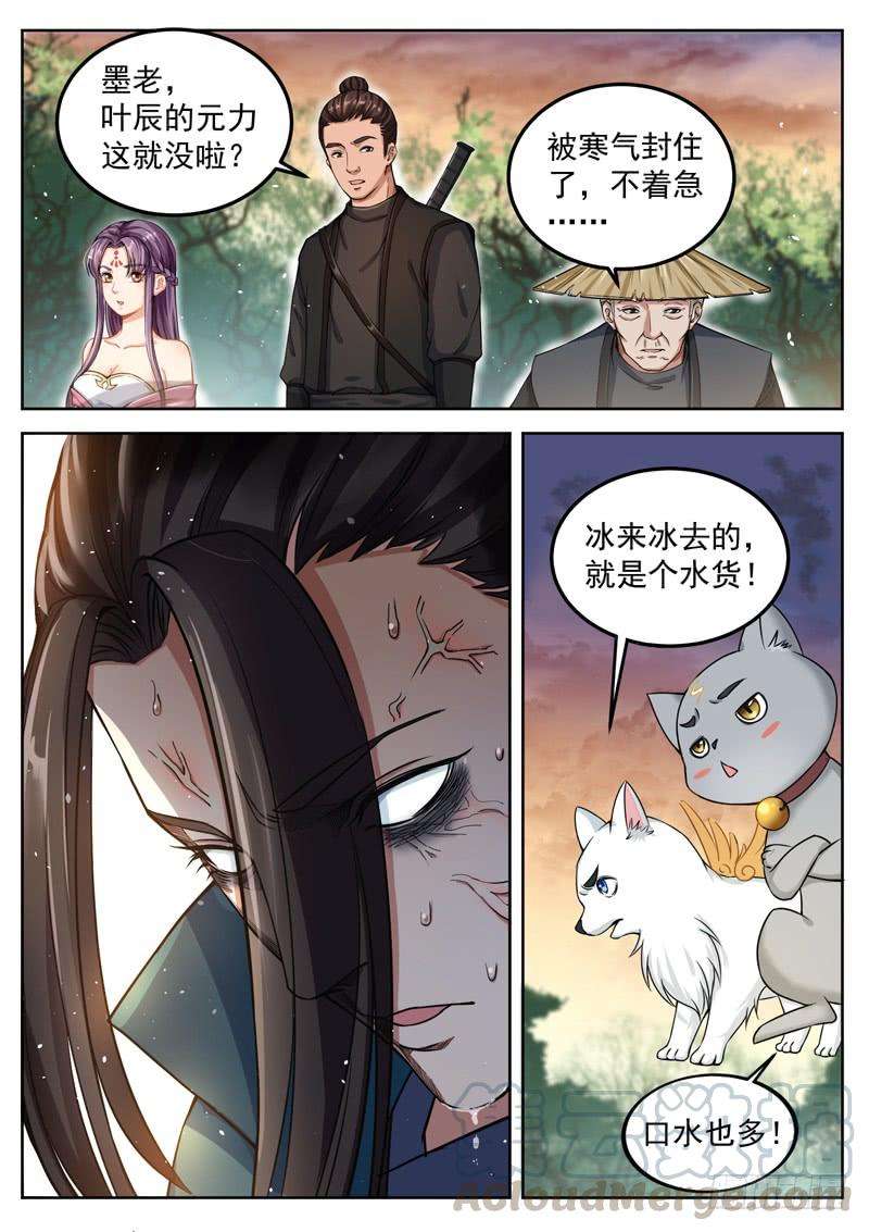 11.jpg