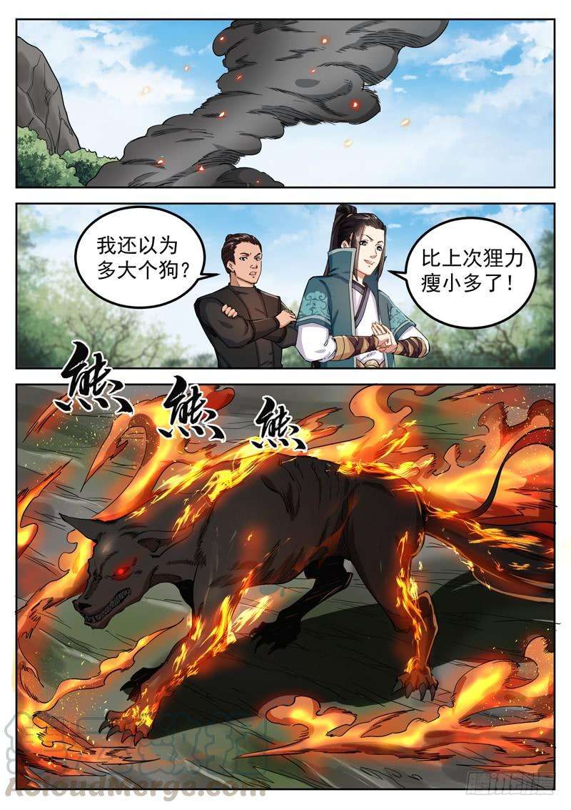 5.jpg