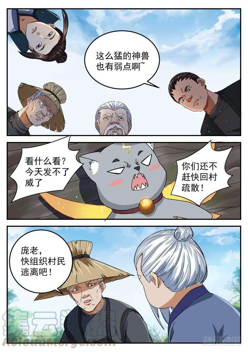 13.jpg