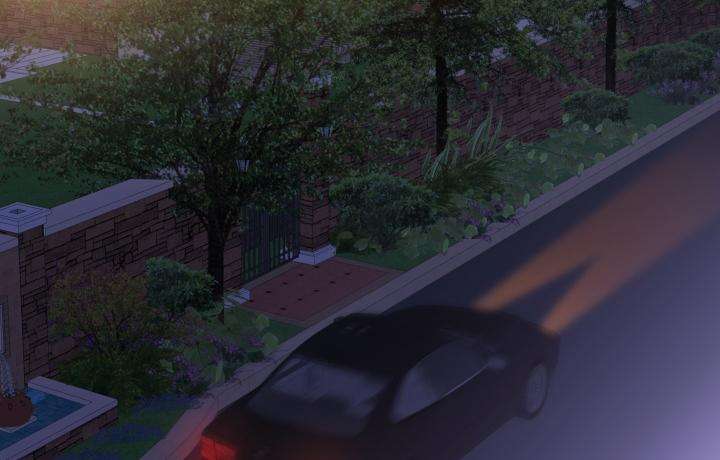 294.jpg