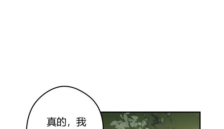 244.jpg