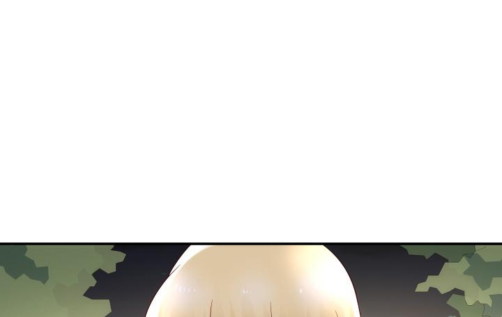 293.jpg