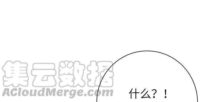 221.jpg