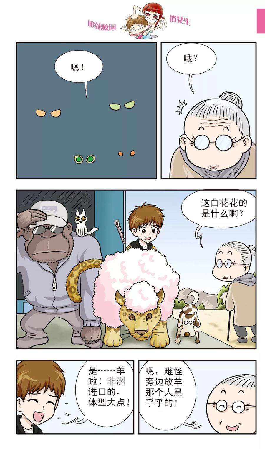 7.jpg