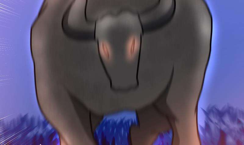 96.jpg