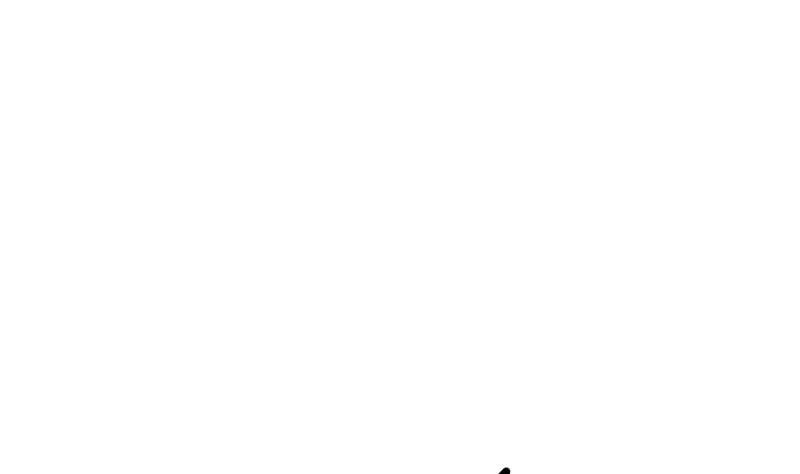 113.jpg