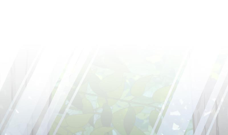 94.jpg