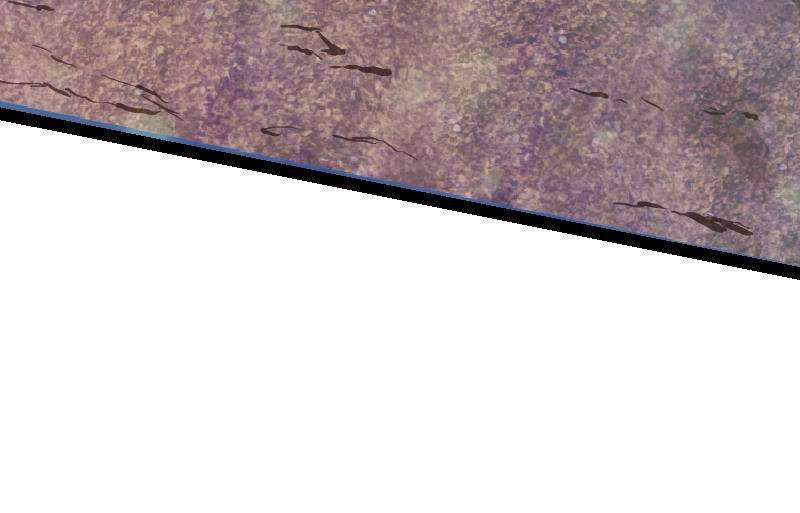 63.jpg