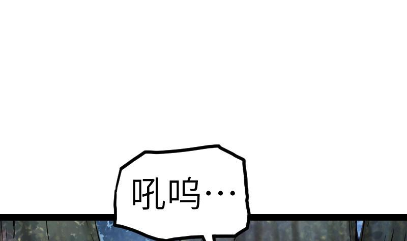 95.jpg