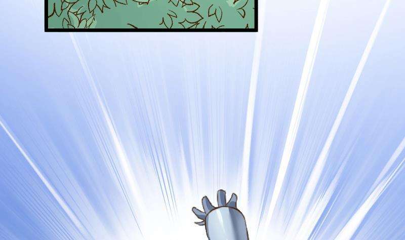 43.jpg