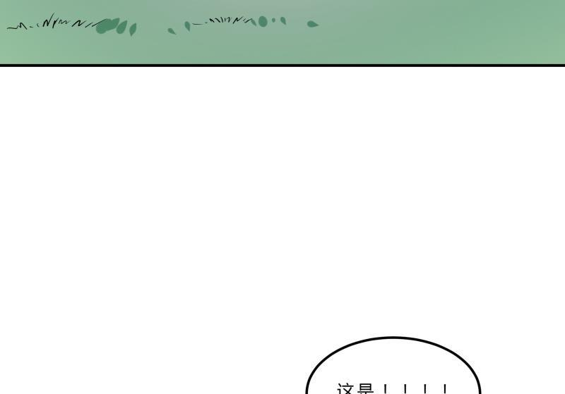 73.jpg