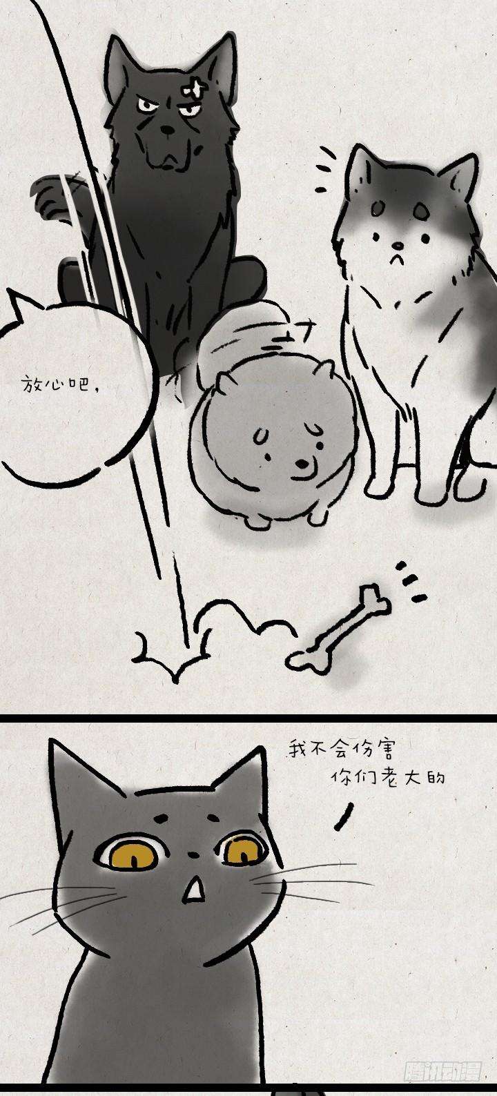 44.jpg