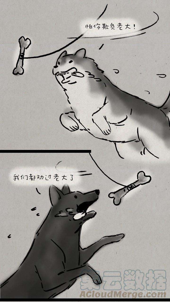 41.jpg