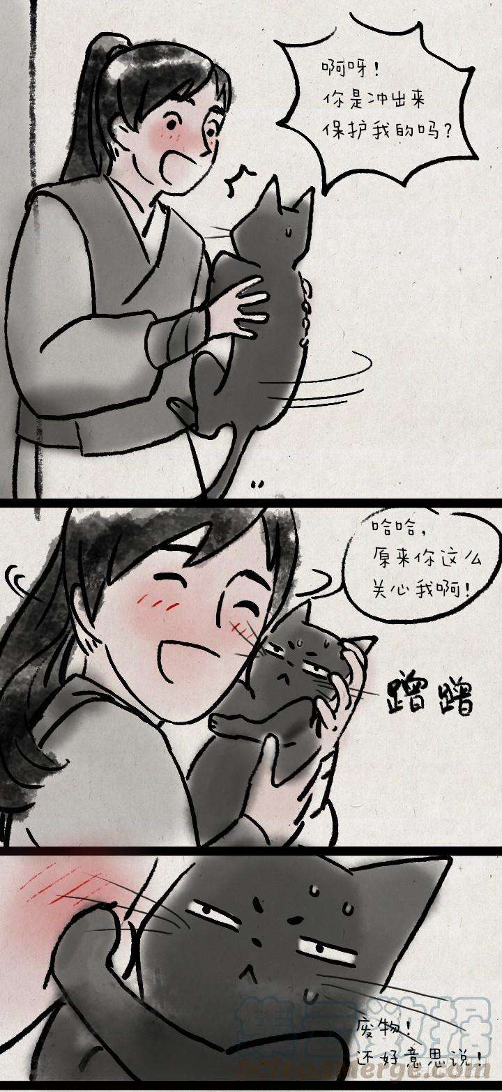13.jpg